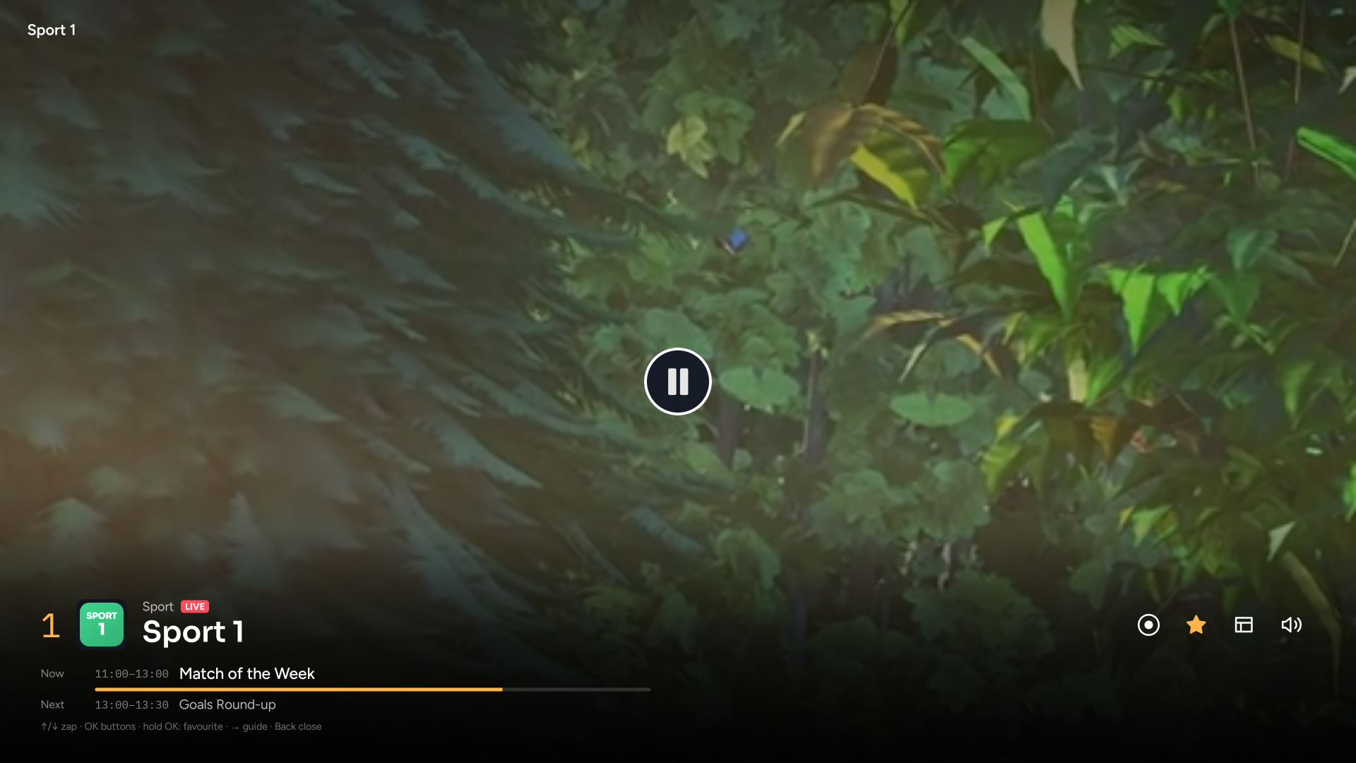 The player and its controls.